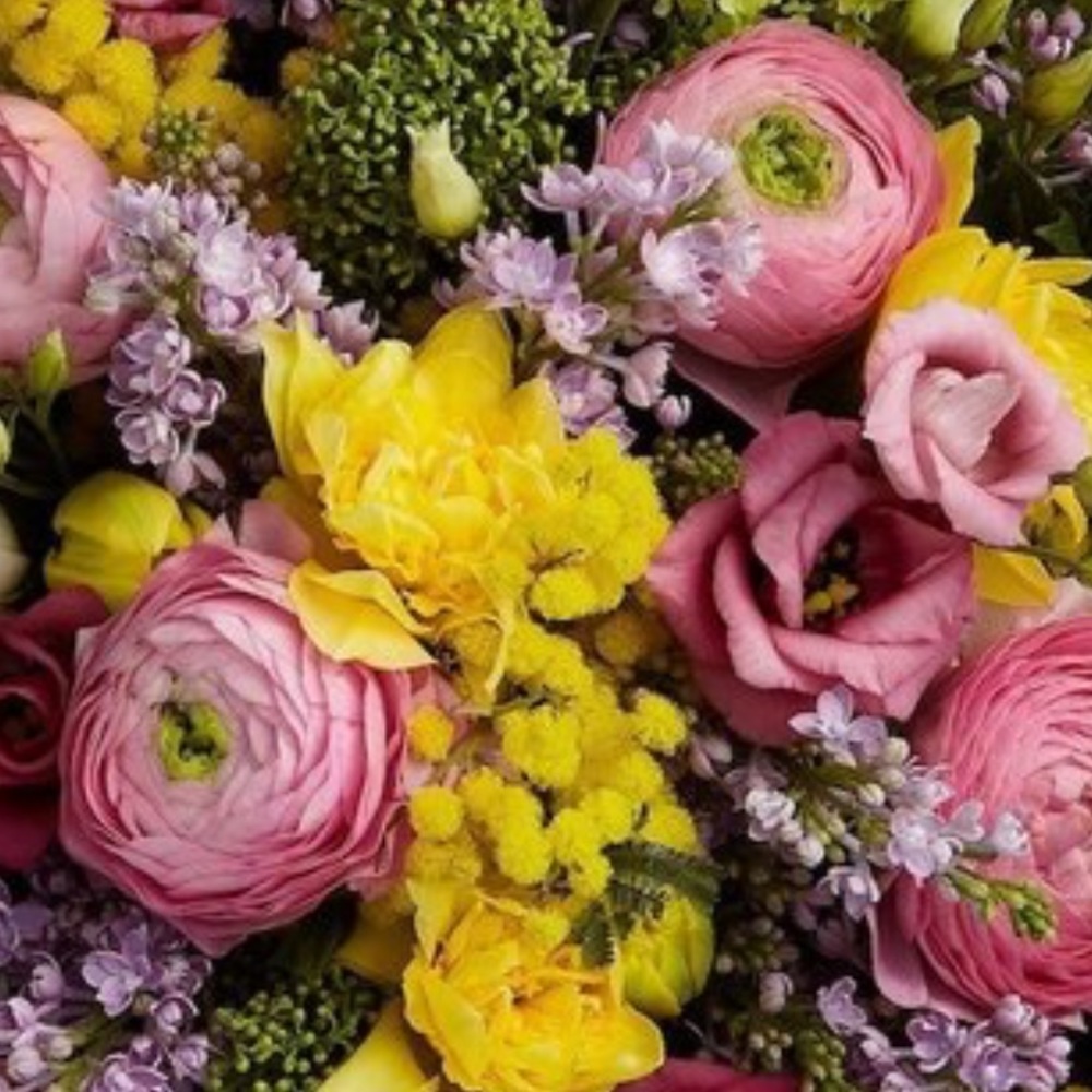 Meet your Posher, Katia